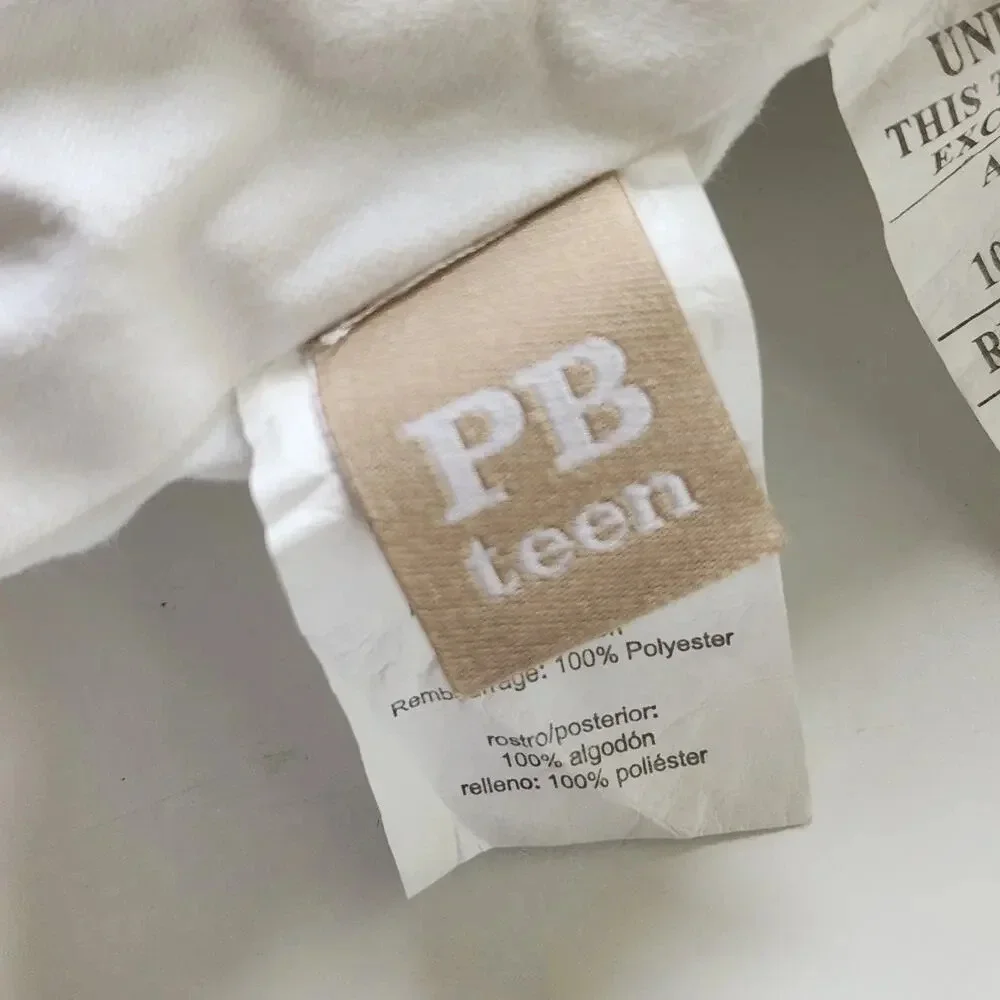 Pottery Barn Teen White Cotton Pillow Insert Size 12